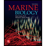 cover of Marine Biology (10th edition)