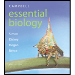 cover of Campbell Essential Biology (6th edition)