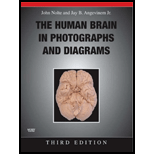 Human Brain in Photographs and Diagrams - With CD