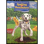 Spelling and Vocabulary Non-Consumable Ball & Stroke Level 2