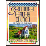 Growing a Healthy Church : Sonlife Strategy Growing a Healthy Church : Sonlife Strategy