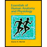 Essentials Of Human Anatomy And Physiology 5Th Edition
