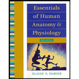 anatomy and physiology textbook marieb pdf