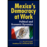 Mexico's Democracy at Work : Political and Economic Dynamics