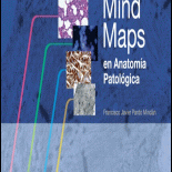 Mind Maps En Anatom A Patol Gica Edition Textbooks