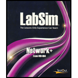 Labsim Manual Network 2009