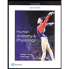 Human-Anatomy-and-Physiology---Study-Guide, by Elaine-N-Marieb-and-Katja-N-Hoehn - ISBN 9780134760230