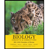 cover of Biology : Concepts and Connections (Custom)