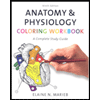 Endocrine System Coloring