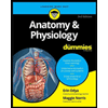 Anatomy and Physiology for Dummies by Erin Odya - ISBN 9781119345237