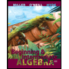 cover of Beginning and Intermediate Algebra - With Access (4th edition)