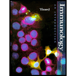 Immunology  An Introduction