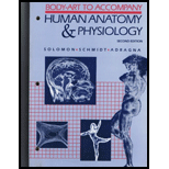Human Anatomy and Physiology - Body Art (Study Guide) -  Eldra Solomon, Paperback