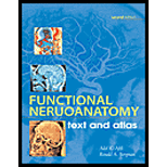 Functional Neuroanatomy