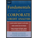 Standard and Poors Fundamentals of Corporate Analysis