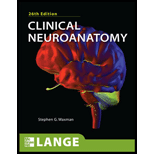 Clinical Neuroanatomy