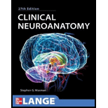 Clinical Neuroanatomy