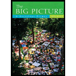 Big Picture Sociology Primer