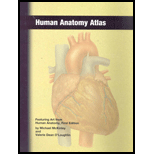 Human Anatomy Atlas