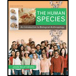 Human Species