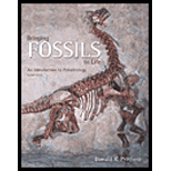 Bringing Fossils To Life  An Introduction To Paleobiology