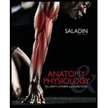 Anatomy and Physiology (Looseleaf)