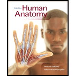 Human Anatomy   With Access