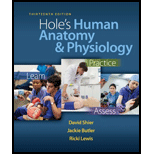 Holes Human Anatomy and Physiology (Looseleaf)