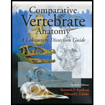 Comparative Vertebrate Anatomy  Lab Guide