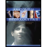 Anatomy and Physiology CUSTOM<