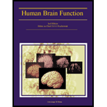 Human Brain Function