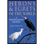 Herons and Egrets of World