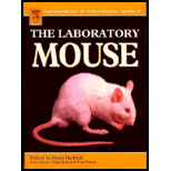 Laboratory Mouse