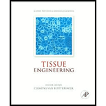 Tissue Engineering