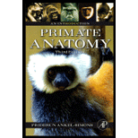 Primate Anatomy  Introduction