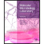 Molecular Microbiology Lab