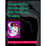 Atlas of the Developing Rat Nervous System