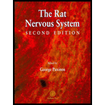 Rat Nervous System