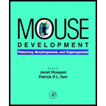 Mouse Development