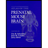 Atlas of the Prenatal Mouse Brain