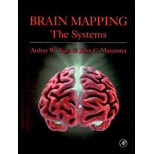 Brain Mapping Systems