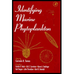 Identifying Marine Phytoplankton (Paperback) by John Throndsen and Carmelo R.  Ed. Romas - ISBN 9780126930184