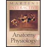 Foundations of Anatomy and Physiology : Interactive CD (Software) -  Frederic Martini, Box