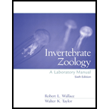 Invertebrate Zoology  A Laboratory Manual