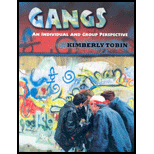 Gangs  Individual and Group Perspective