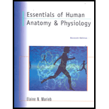 Essentials of Human Anatomy and Physiology   Package