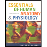 essentials of human anatomy and physiology textbook
