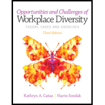 Opportunities and Challenges of Workplace Diversity