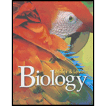 Biology (High School)