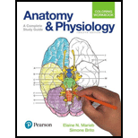 Anatomy and Physiology Coloring Workbook: A Complete Study Guide by Elaine N. Marieb and Simone Brito - ISBN 9780134459363